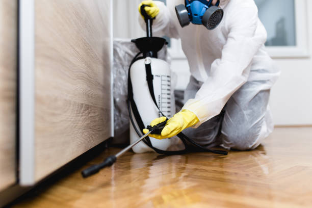 Best Termite Control Services  in Elkader, IA