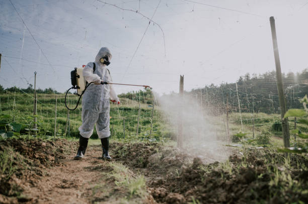 Best Mosquito Control Services  in Elkader, IA