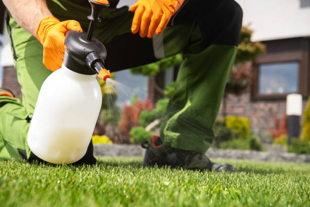 Best Exterminator Services  in Elkader, IA