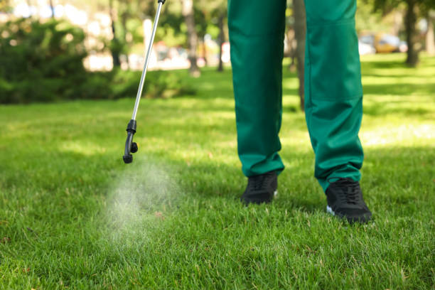 Best Residential Pest Control  in Elkader, IA